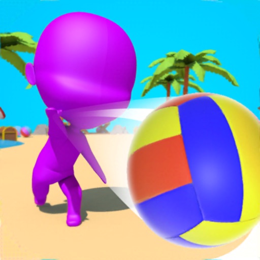 Volleyball 3D