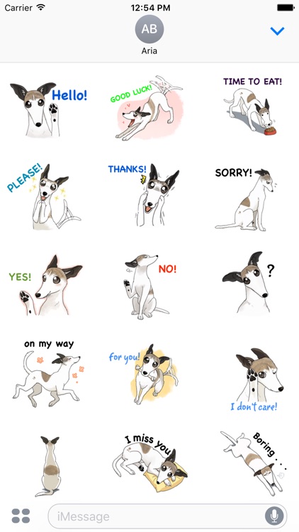 Cute Whippet Dog Sticker