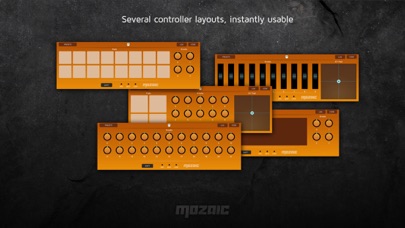 Mozaic Plugin Workshop screenshot1