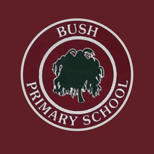 Bush PS