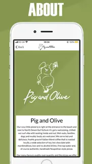 pig and olive problems & solutions and troubleshooting guide - 1