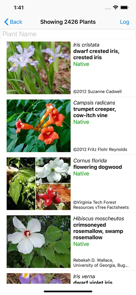 Kentucky Wildflowers