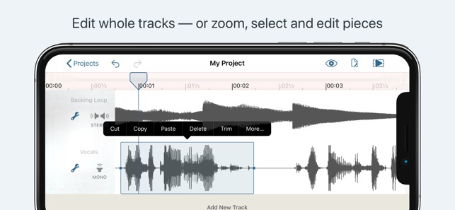 Hokusai Audio Editor su App Store