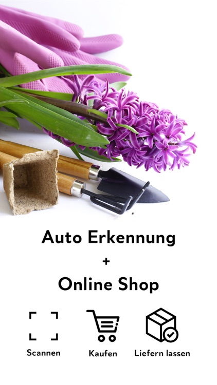 FlowerCam Gartenblumen kaufen