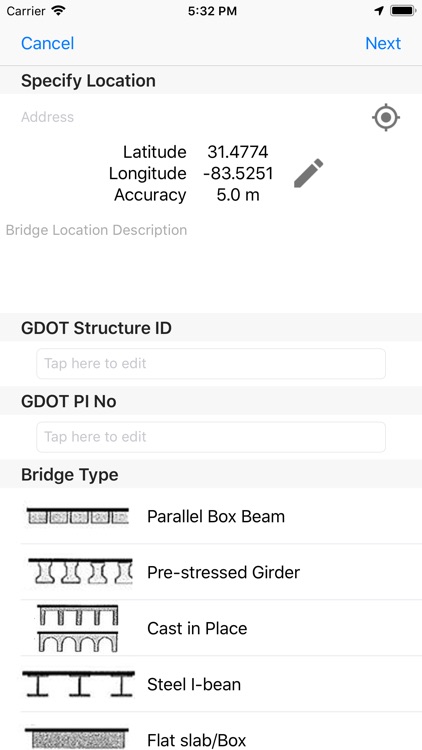Georgia Bats in Bridges