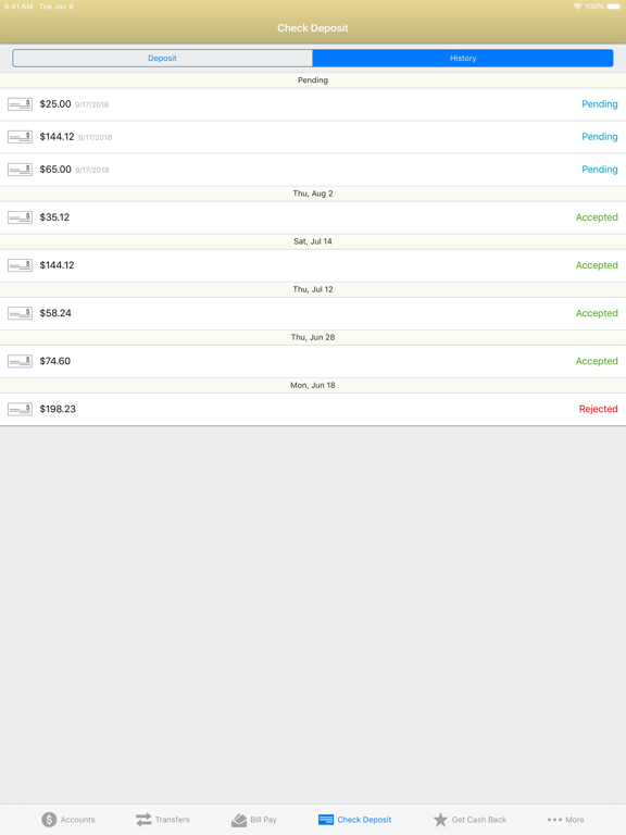 SJN Bank of Kansas iPad screenshot 8 - Finance app