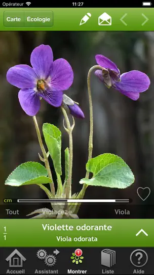 Capture d'écran de Fleurs En Poche sur iPhone 1
