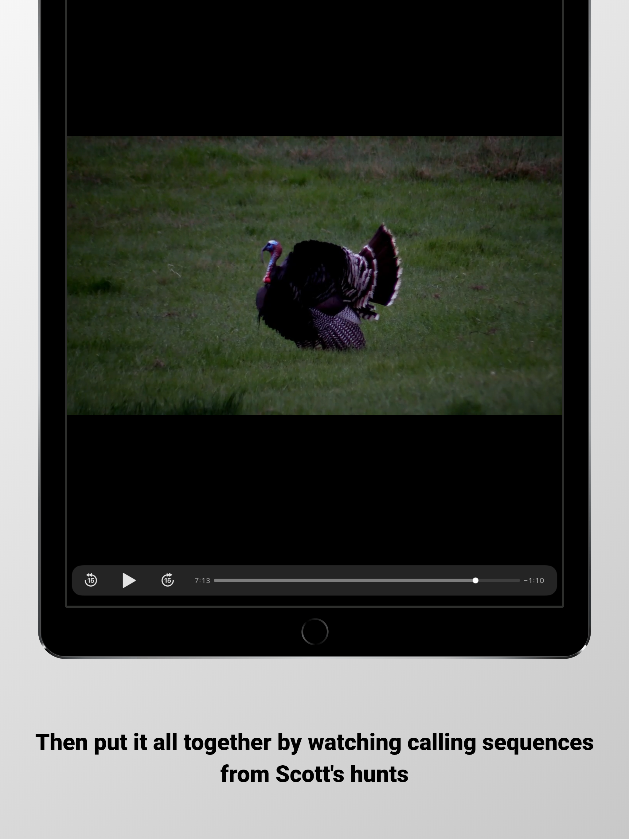 Turkey Tech