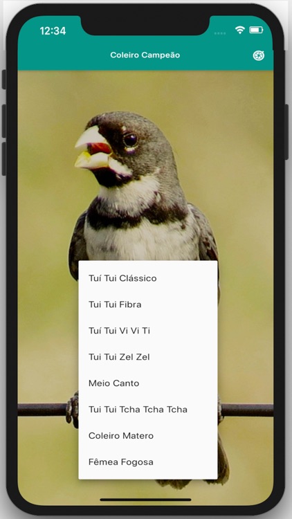 Coleiro Fibra Campeão