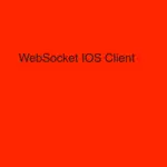 WebSocket Client App Contact