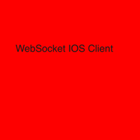 WebSocket Client