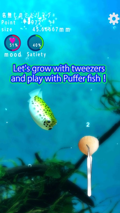 Playing with Puffer fish Screenshot
