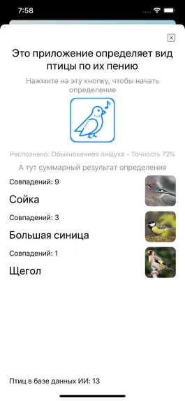 Game screenshot Пение птиц: определение голоса apk