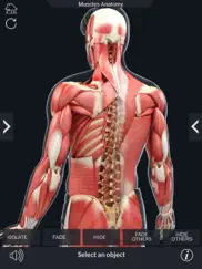 my muscle anatomy ipad resimleri 4