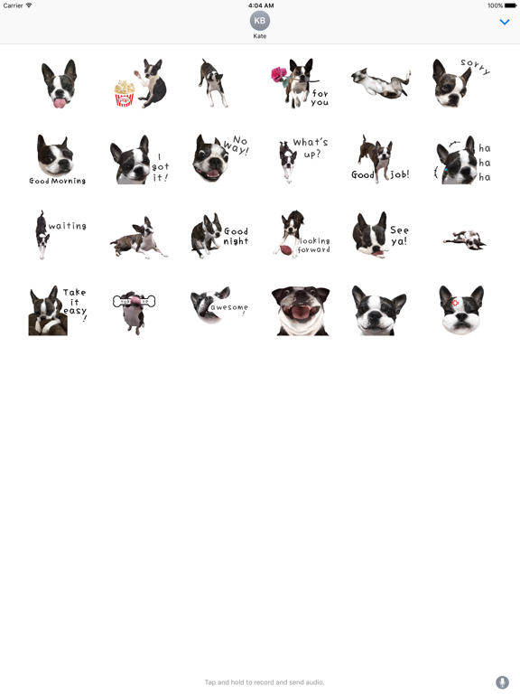 Screenshot #5 pour Iggy - Animated Boston Terrier