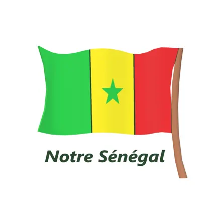 SenQuiz Читы