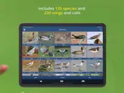 bird song id uk ipad bildschirmfoto 4