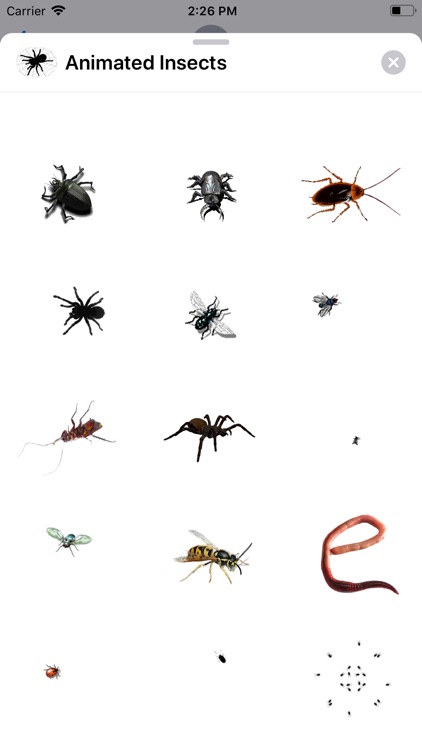 Animated Insects Sticker App