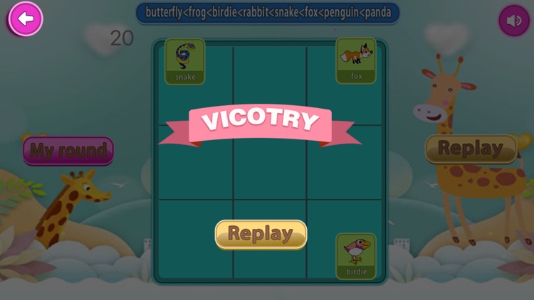 Big beak penguins are crazy