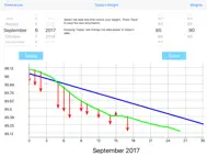 Weight Monitor ipad bilder 1