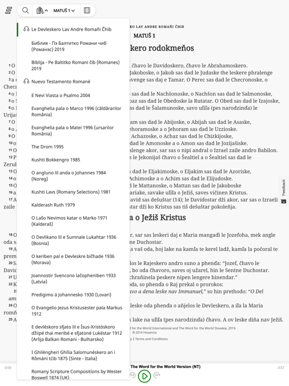 Screenshot #4 pour Romani Bibles
