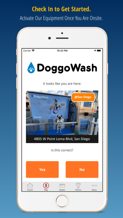 Screenshot #2 pour DoggoWash