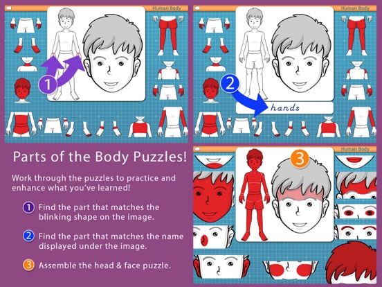Screenshot #6 pour Human Body -Montessori Anatomy