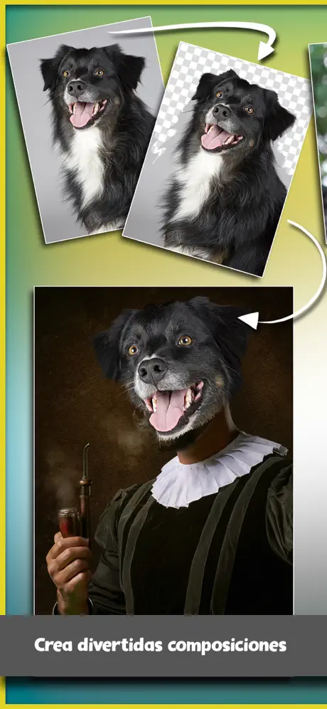 MiUdelar