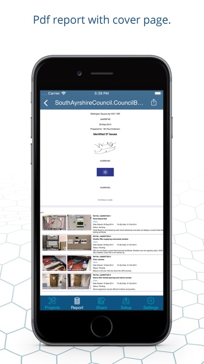 AuditBricks: Site Audit Report screenshot-6
