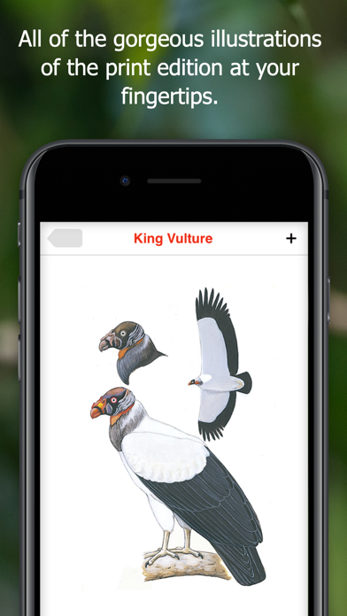 Birds of Ecuador - Field Guide Screenshot