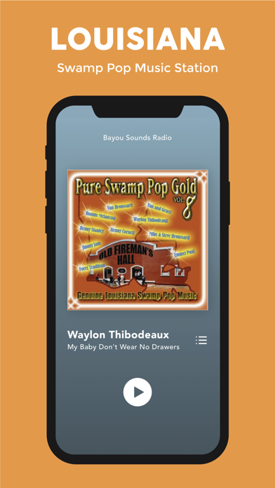 Screenshot #2 pour Bayou Sounds Radio