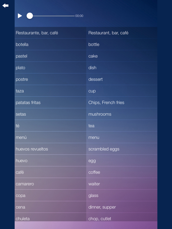 Aprender Inglés: Audio Curso iPad screenshot