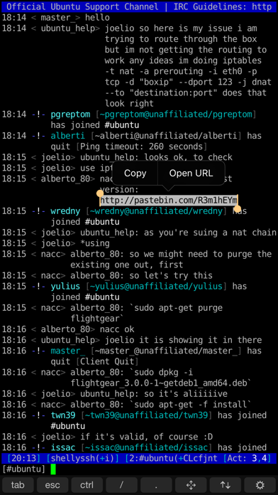 Shelly - SSH Client Screenshot