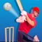 World Cricket Star : Tap Balls