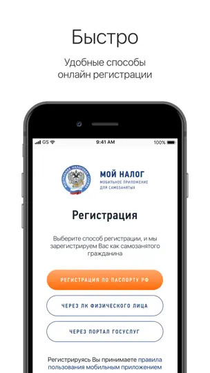 Скриншот Мой налог на iPhone 2