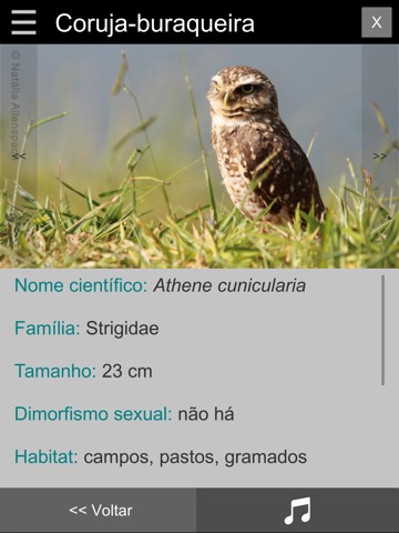 Guia Aves da Região Bragantinaのおすすめ画像7