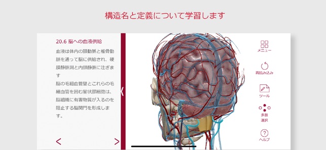 解剖学的構造と生理学」をApp Storeで