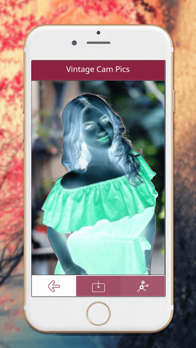 Screenshot #3 pour Vintage Cam Pic