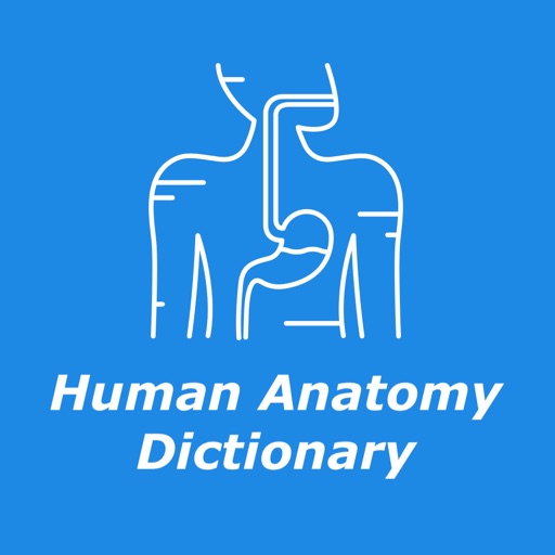 Human anatomy - Dictionary