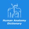Check out our latest Human anatomy - Dictionary