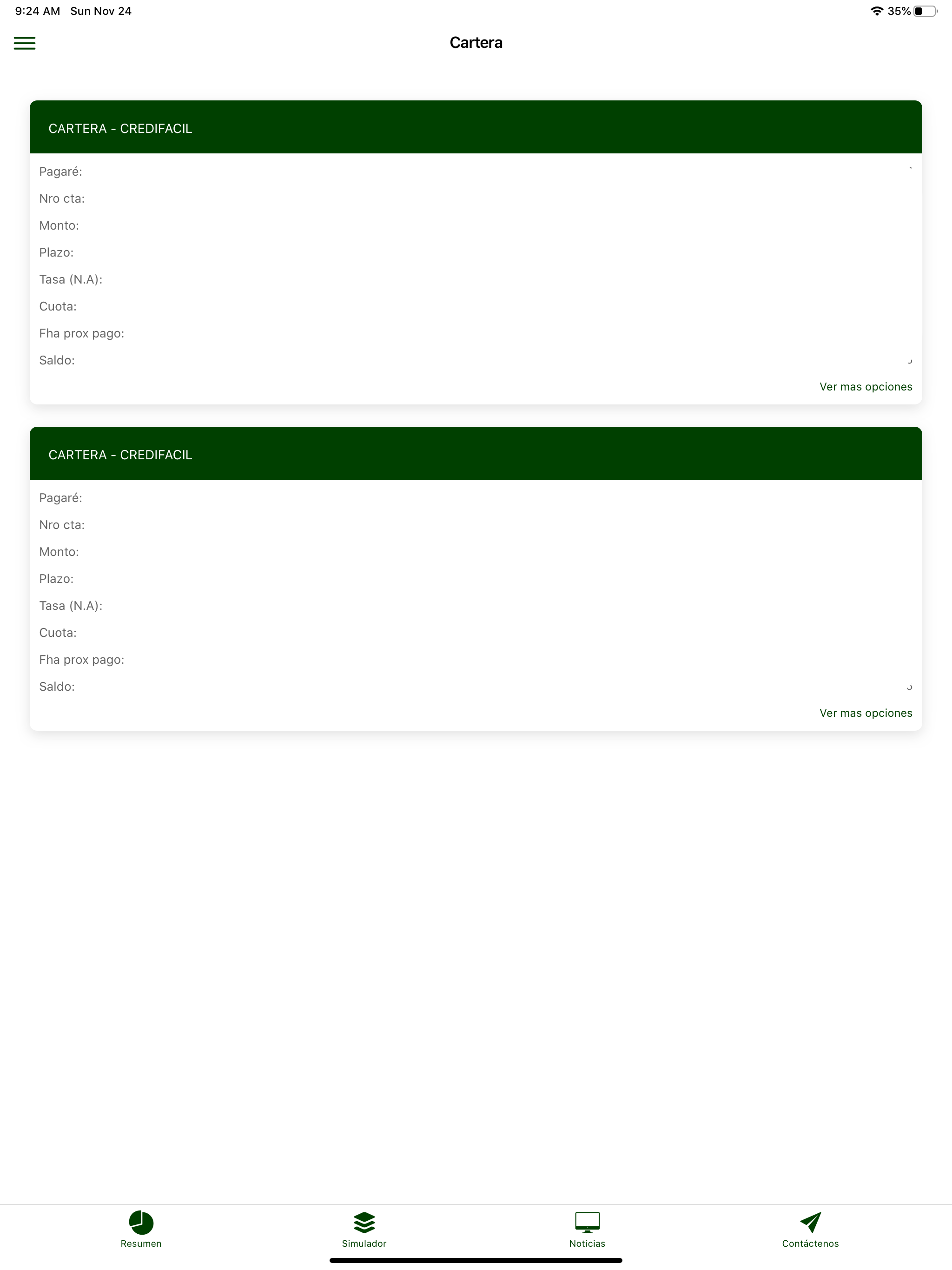 Fonfedepalma screenshot 19