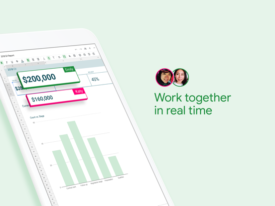 iPad Image of Google Sheets