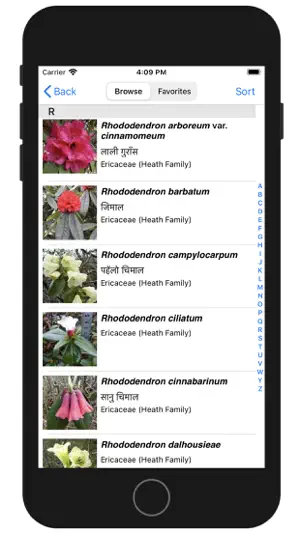 Wildflowers of Mount Everest screenshot 2