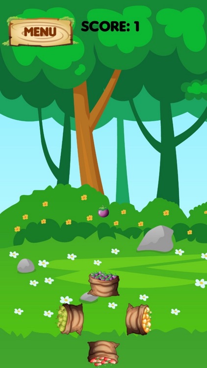 WOFRUIT screenshot-4