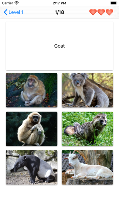 Mammals – Learn All Animals! screenshot 2