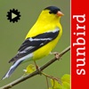 Bird Song Id USA songs & calls icon