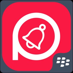 Ping Alerting for BlackBerry