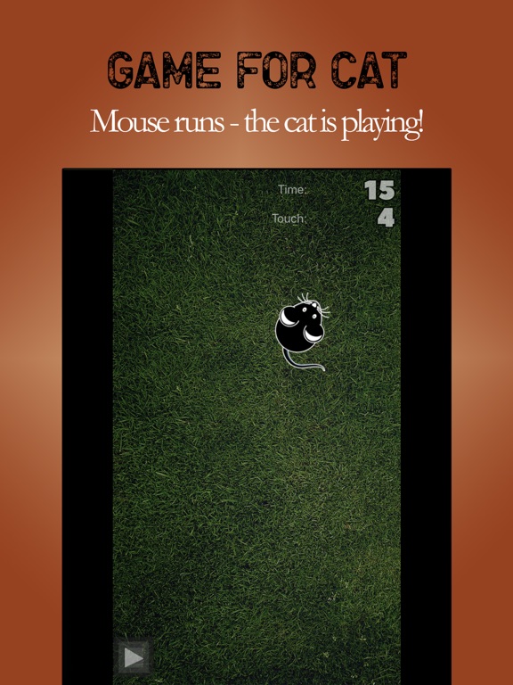 Мышь для кота на iPad