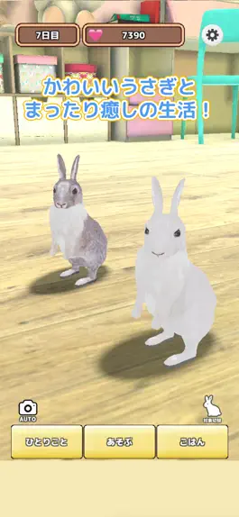 Game screenshot ウサギゲーム hack