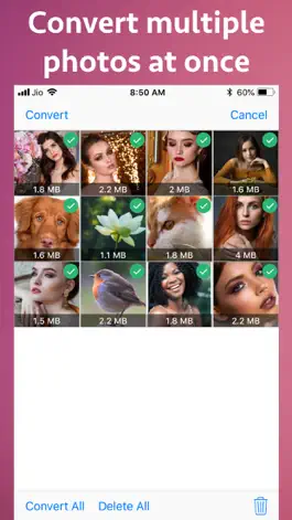Game screenshot Photo Type Converter apk